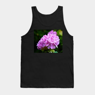 Hydrangea Macro/Closeup - Pink Flower Tank Top